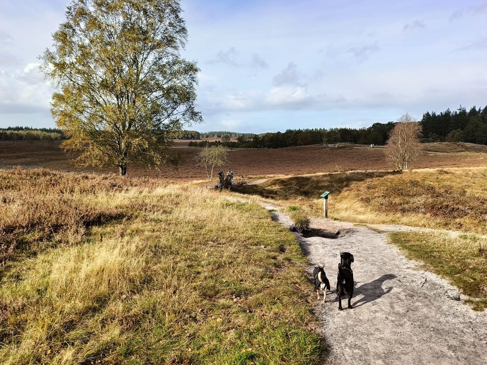 Renderklippen