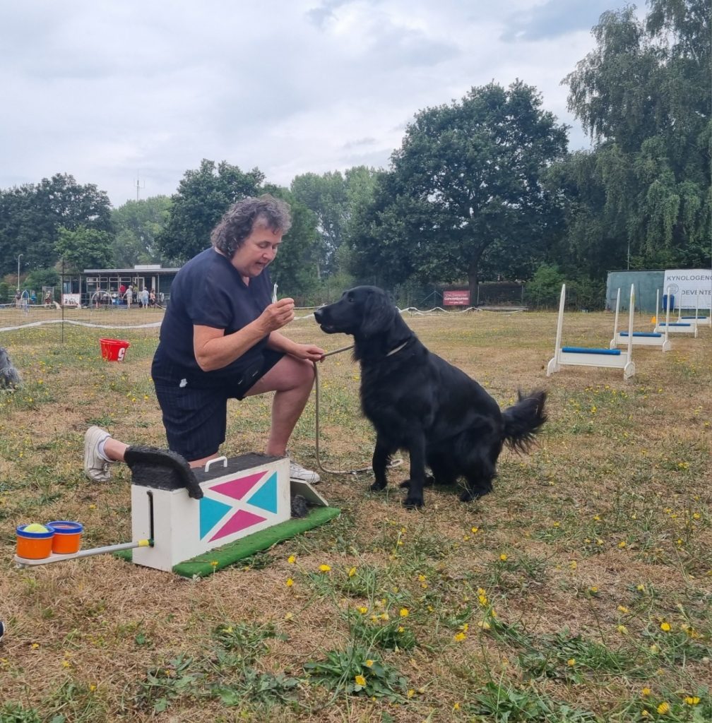 Dog games 8