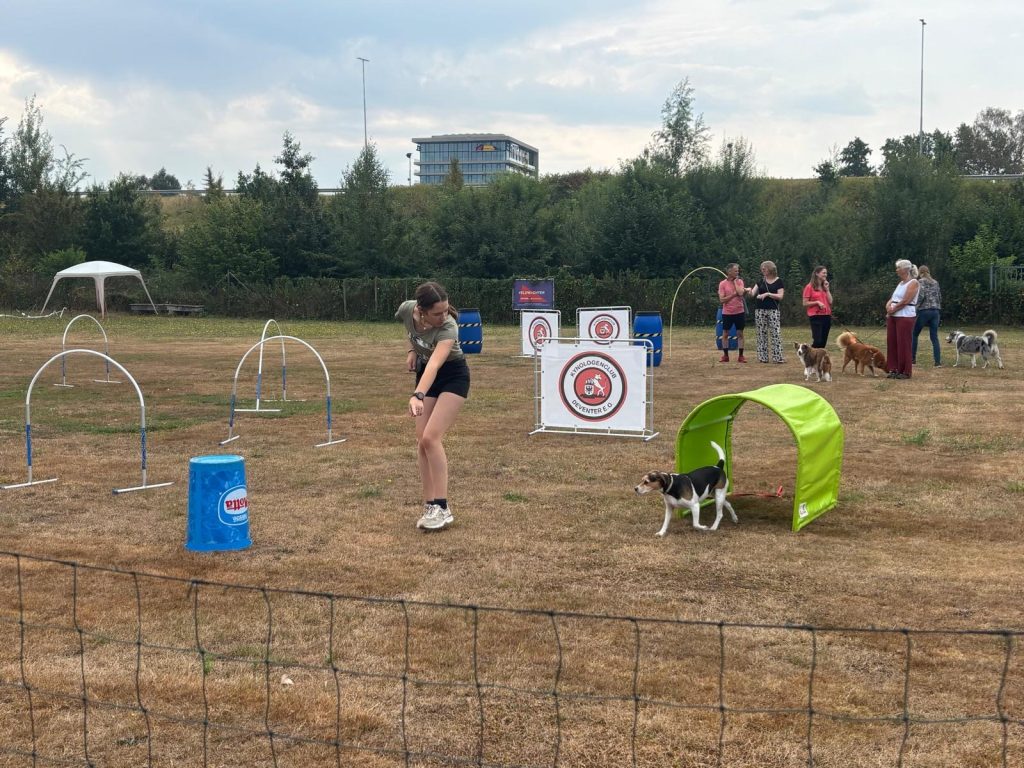 Dog games 7